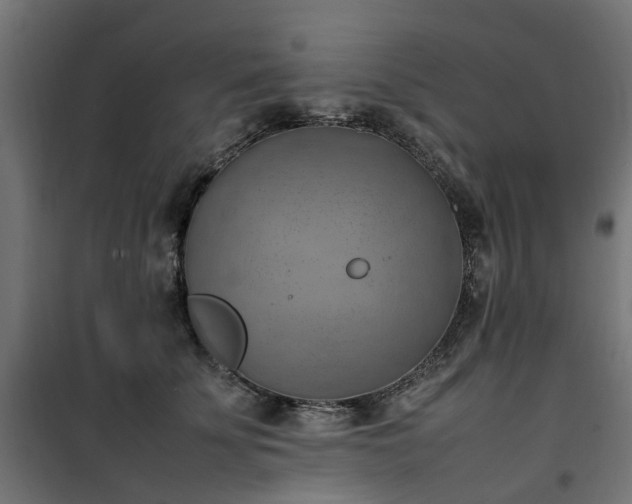 X0000100480707200806201630