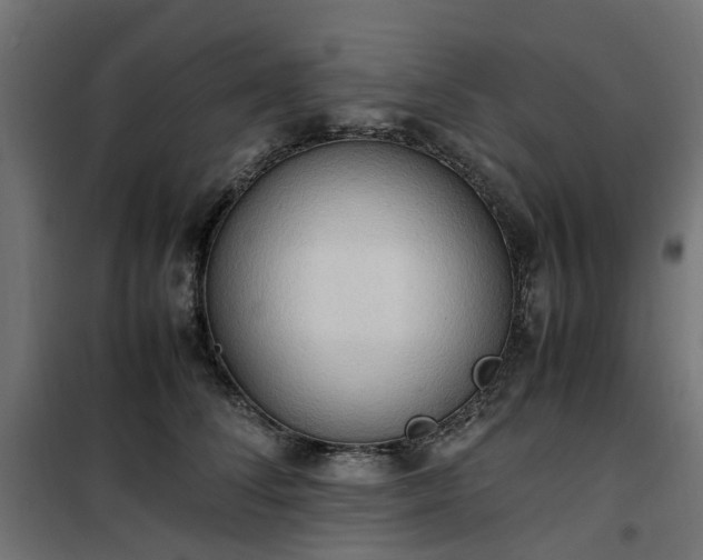 X0000100480708200806201630