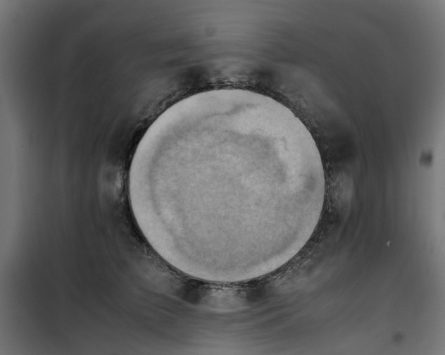 X0000100480709200806201630
