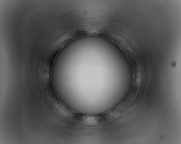 X0000100480710200806201630