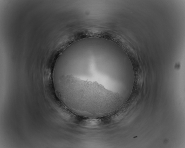 X0000100480711200806201630