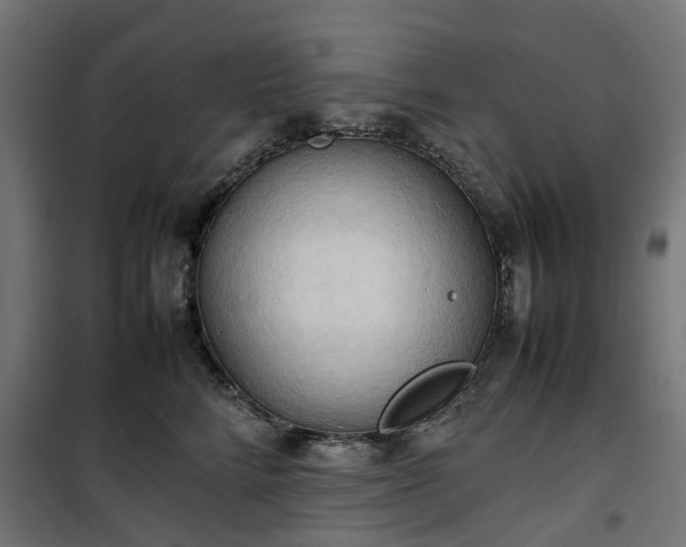 X0000100480712200806201630