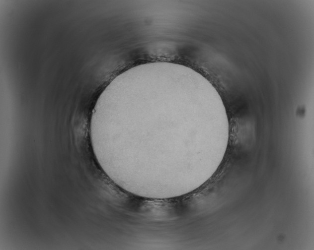 X0000100480713200806201630