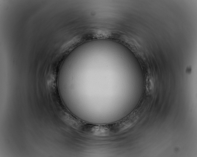 X0000100480714200806201630