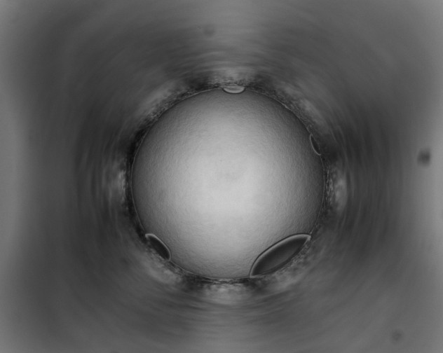 X0000100480716200806201630