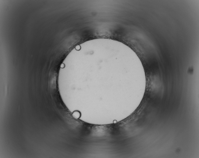 X0000100480717200806201630