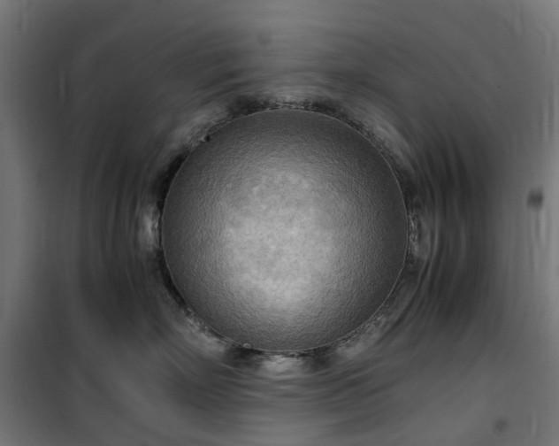 X0000100480718200806201629