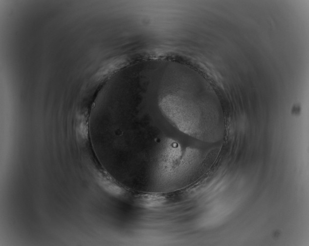 X0000100480719200806201629
