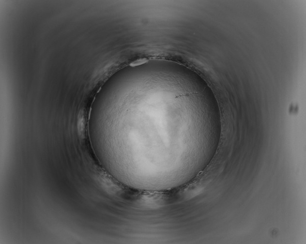 X0000100480720200806201629