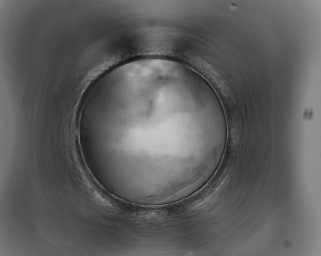 X0000100480721200806201629