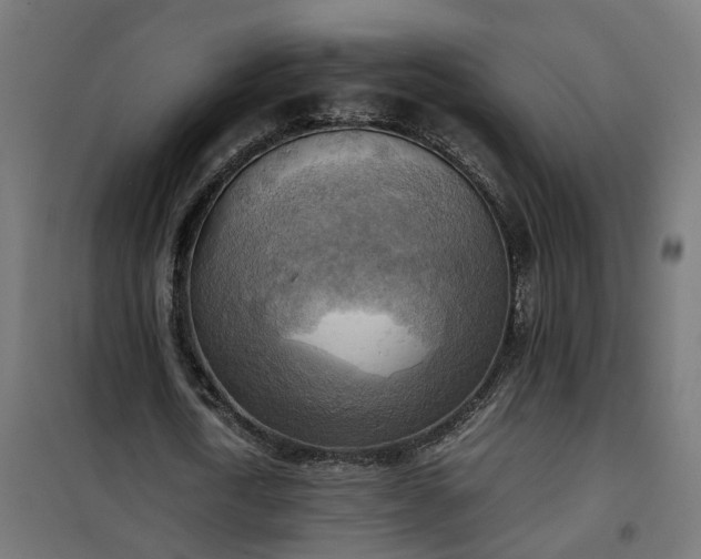 X0000100480722200806201629