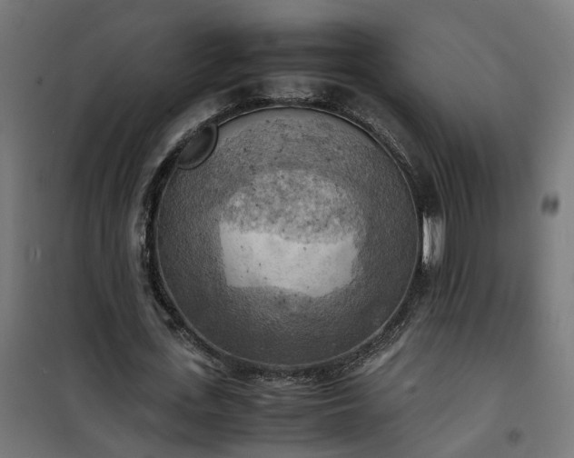 X0000100480723200806201629