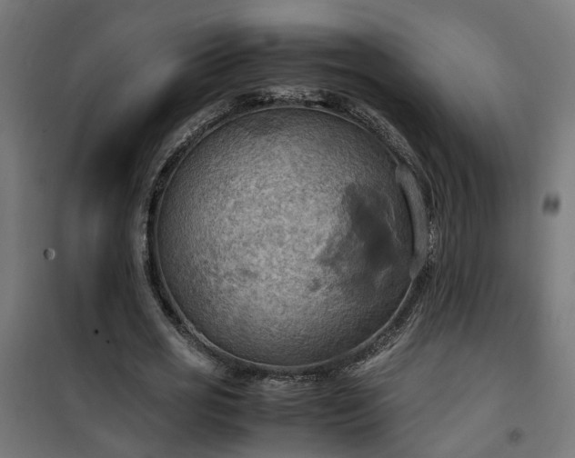 X0000100480725200806201629