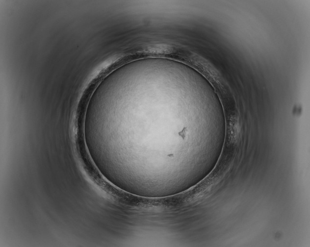 X0000100480726200806201629