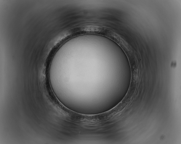 X0000100480727200806201629