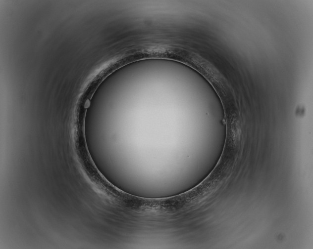X0000100480728200806201629