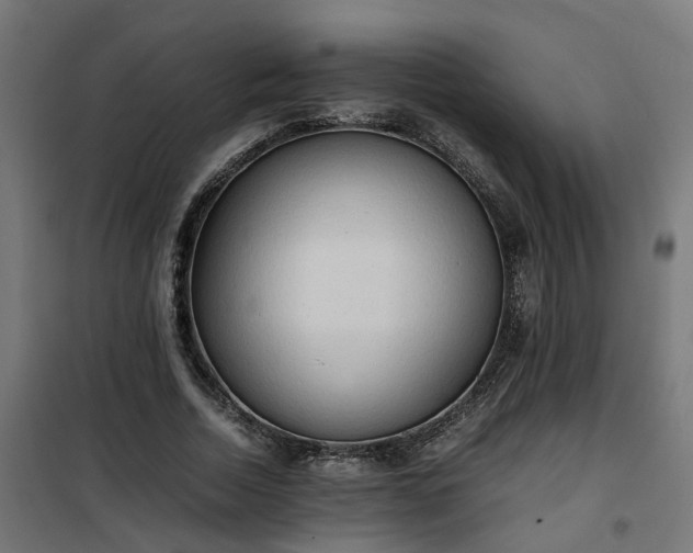 X0000100480730200806201629