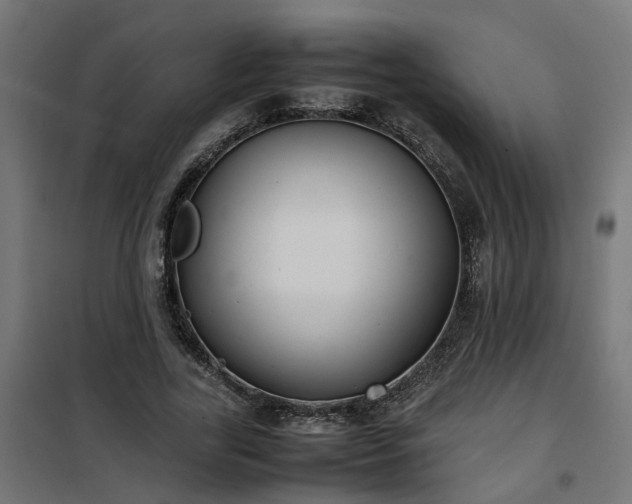 X0000100480731200806201629