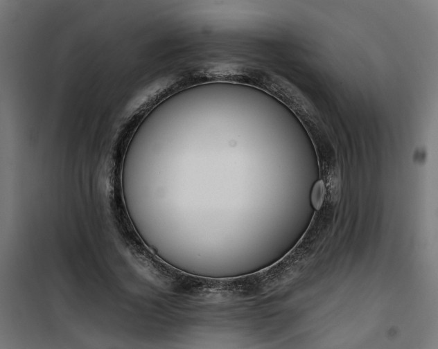 X0000100480732200806201629