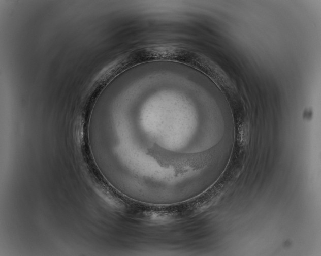 X0000100480733200806201629