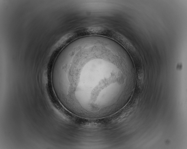 X0000100480734200806201629