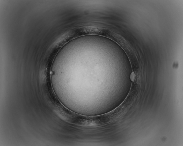 X0000100480735200806201629