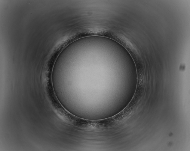 X0000100480736200806201629