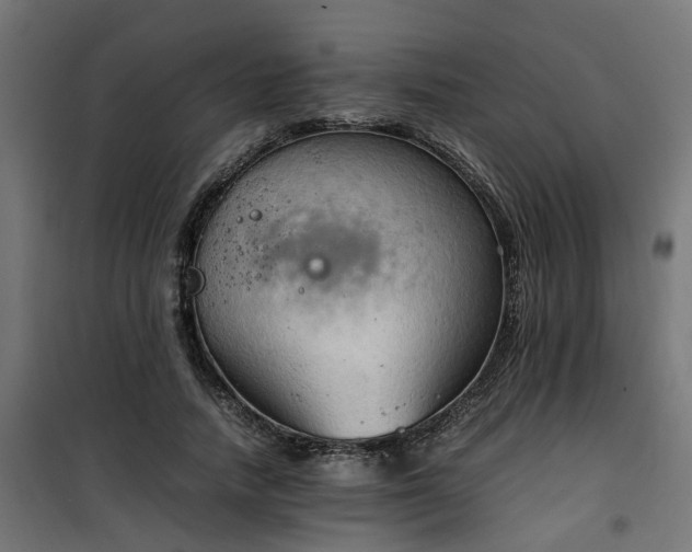X0000100480738200806201629