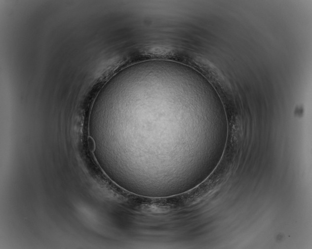 X0000100480739200806201629