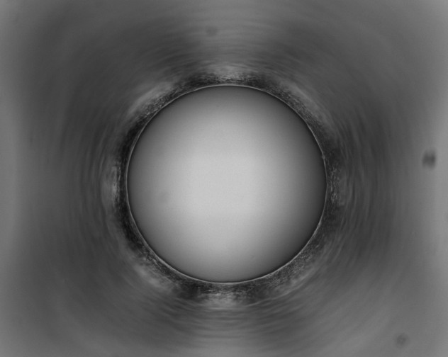 X0000100480740200806201629