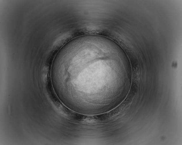 X0000100480742200806201629