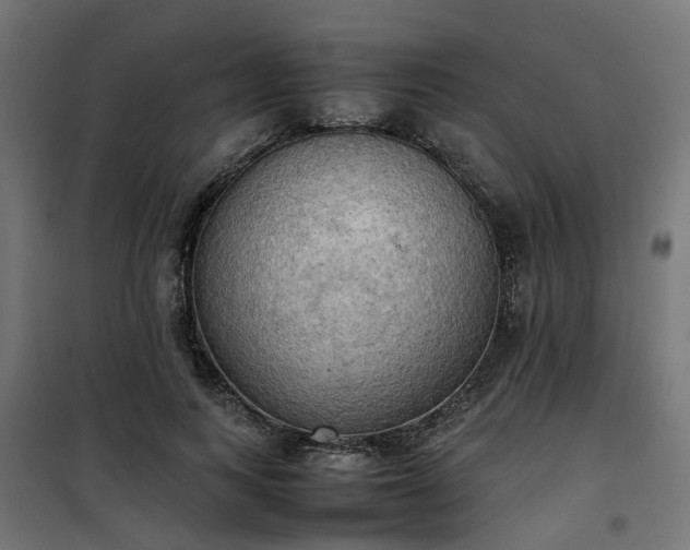 X0000100480743200806201629