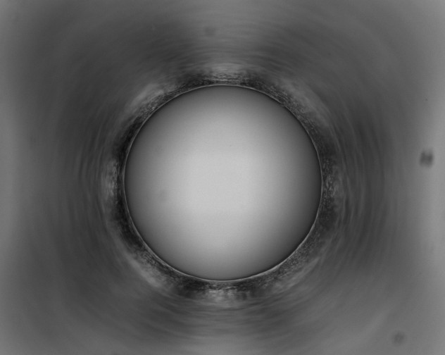 X0000100480744200806201629
