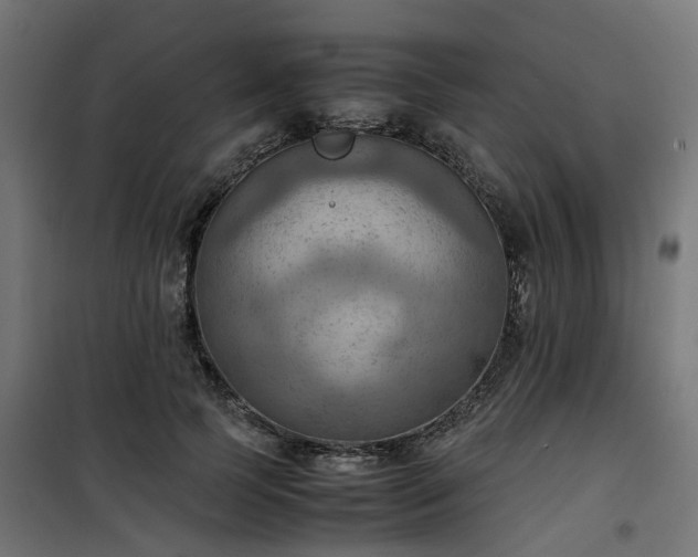 X0000100480745200806201629