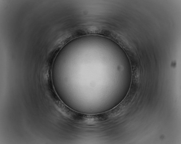 X0000100480746200806201629