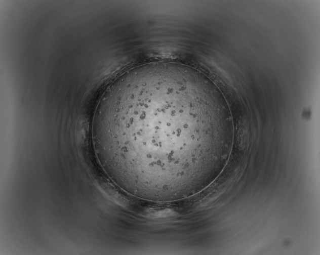 X0000100480747200806201629