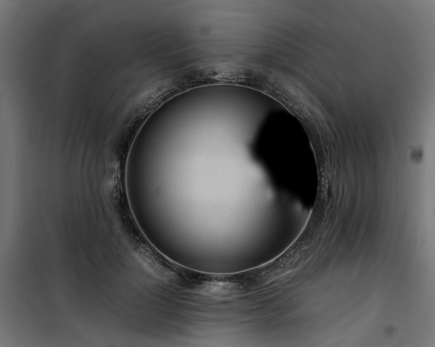X0000100480748200806201629