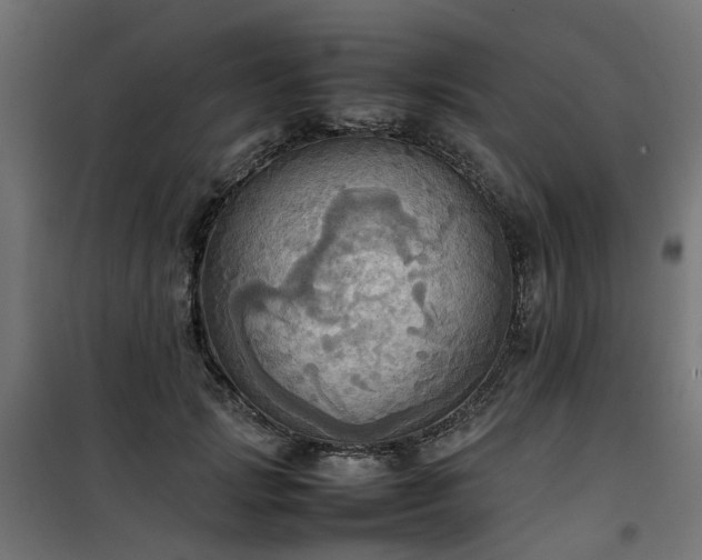 X0000100480749200806201629