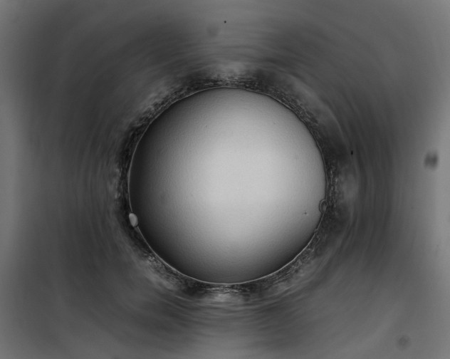 X0000100480750200806201629