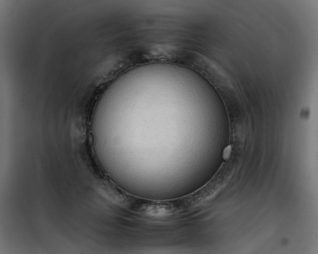 X0000100480751200806201629
