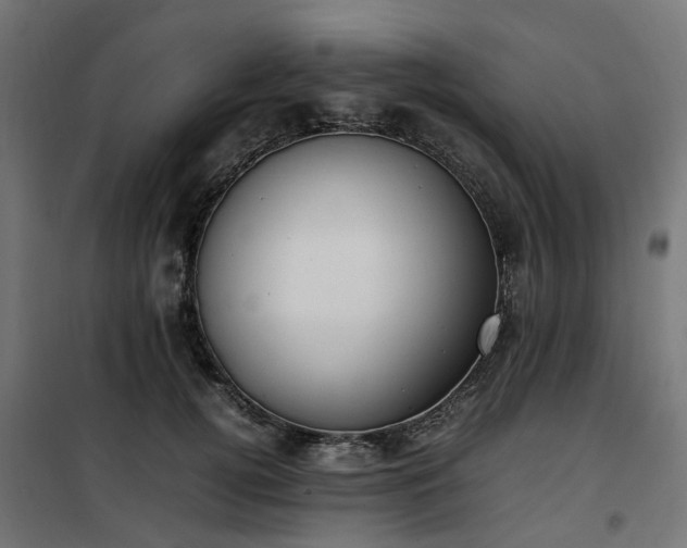 X0000100480752200806201629