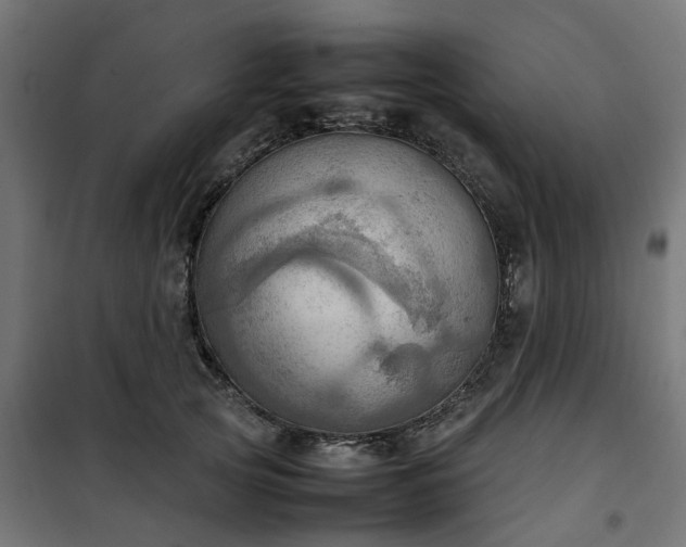 X0000100480753200806201629