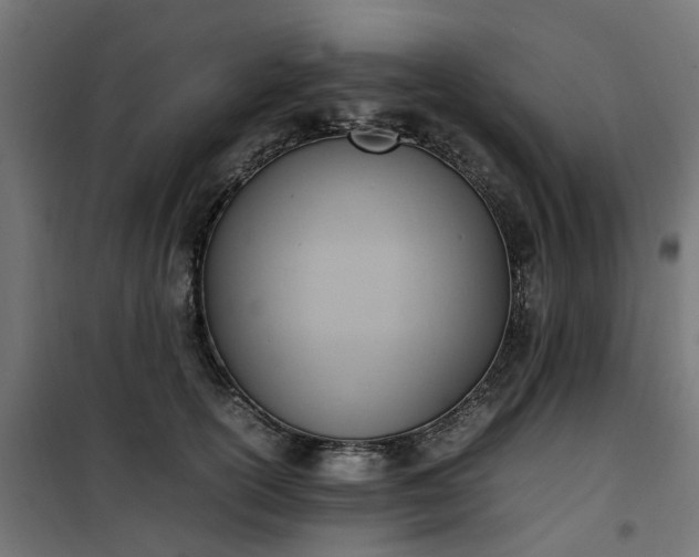 X0000100480754200806201629