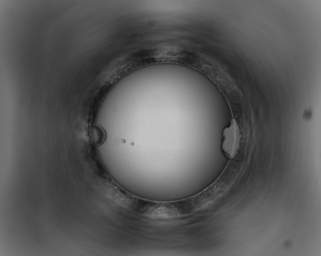 X0000100480755200806201629