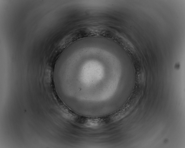X0000100480757200806201629