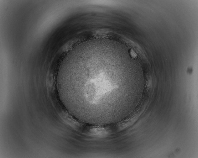 X0000100480759200806201629