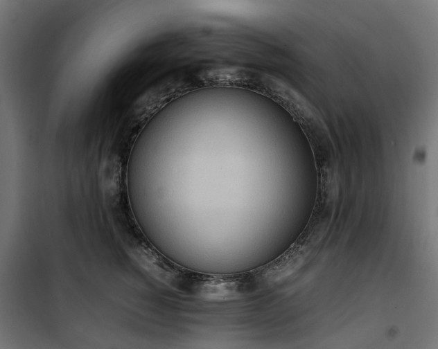 X0000100480760200806201629