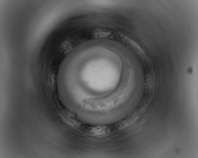 X0000100480761200806201629