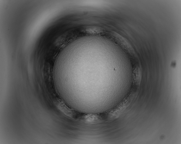 X0000100480762200806201629
