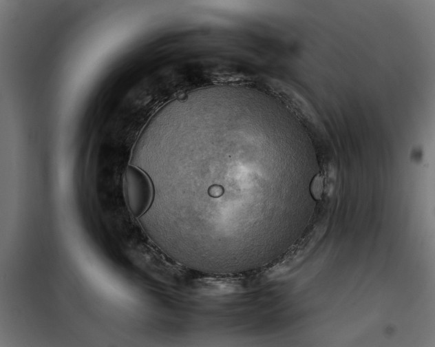 X0000100480763200806201629